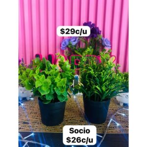 PLANTA ARTIFICIAL AL ZAR