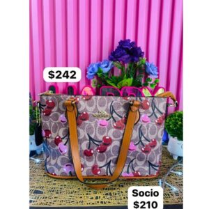 BOLSA COACH